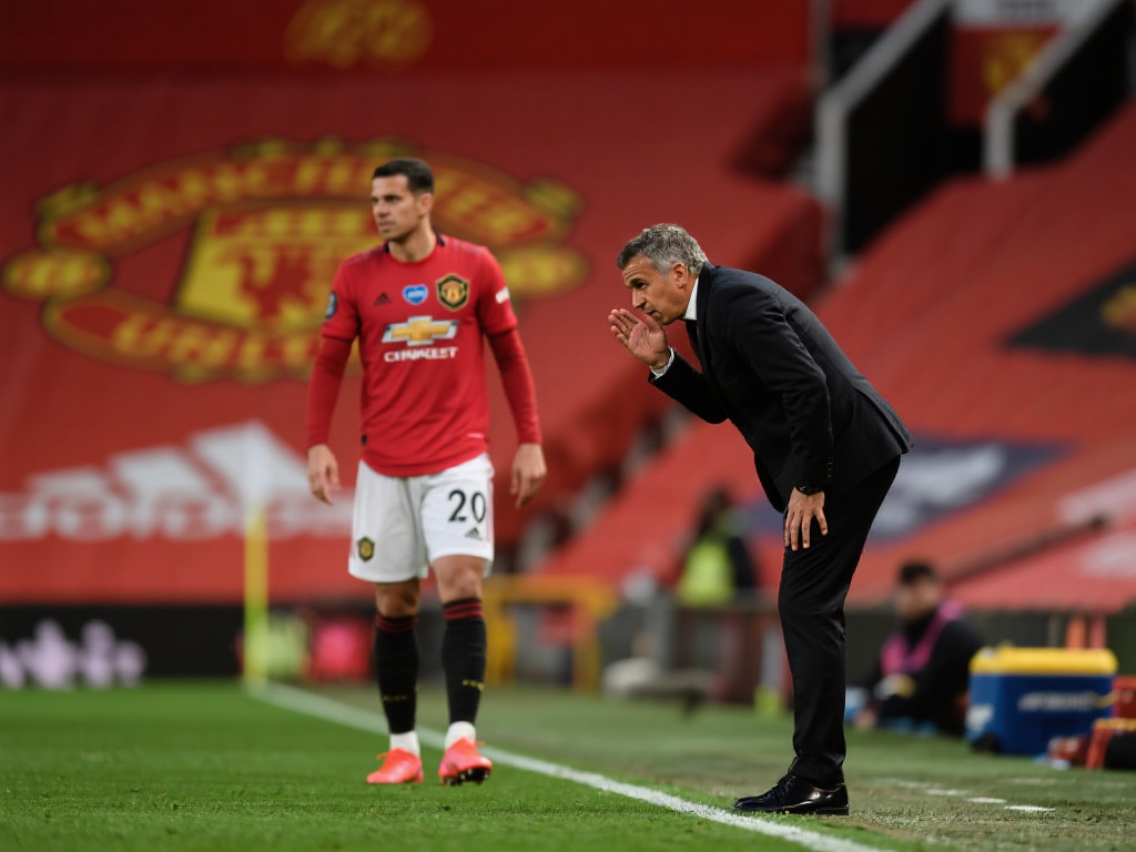 球迷期待 球迷期待